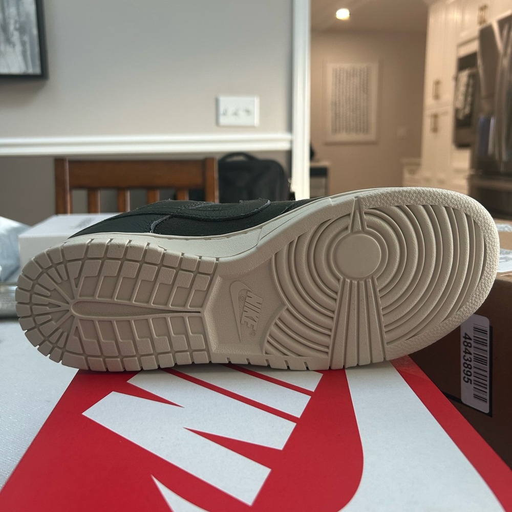 Brand new pair dunks never used